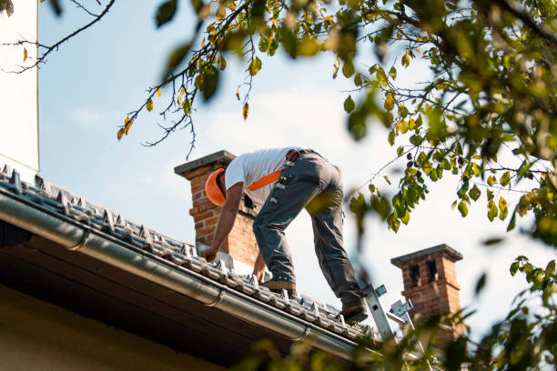 Quick and Trustworthy Emergency Roof Repair Services in Oak Brook, IL